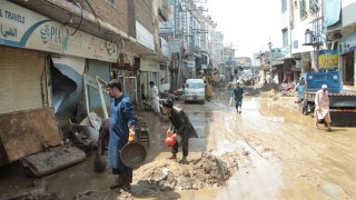 Повече от 300 души са загинали към 17 август в