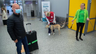 Използването на кучета за откриване на заразени с коронавирус на