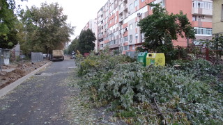 В Нова Загора негодуват срещу масова сеч на дървета