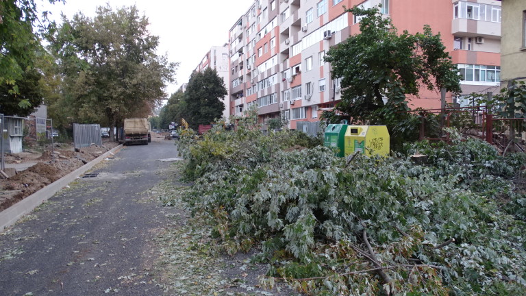 В Нова Загора протестират срещу масова сеч на дървета, предаде