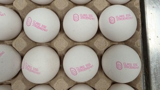 Почти 1 3 млн яйца за преработка клас В от Турция