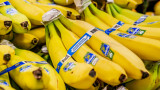 Американският гигант Chiquita Brands е осъден да плати $38,3 милиона на хора, чиито роднини са убити по  време на гражданската война в Колумбия 