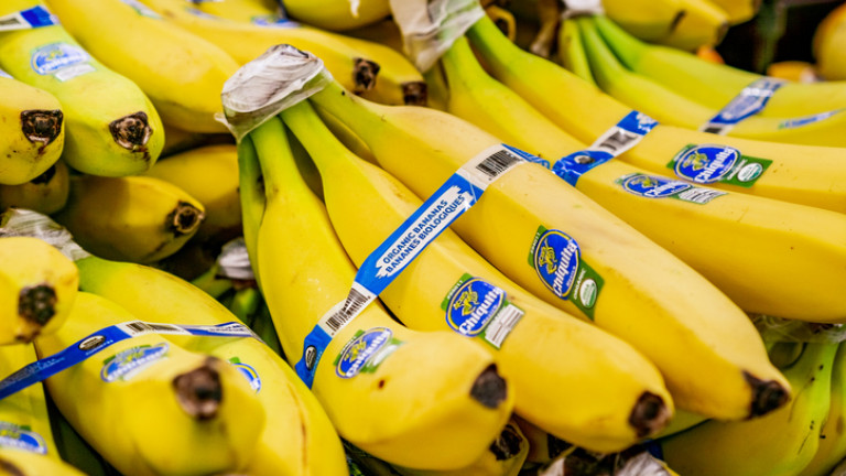 Банановият гигант Chiquita Brands трябва да плати 38,3 милиона долара