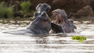 Създателят на най скандалния наркокартел Меделин и един от най бруталните престъпници