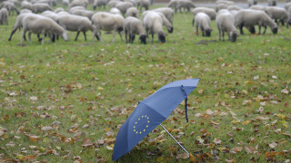 Това е скандалът който всички видяха пише Сара Уитън за