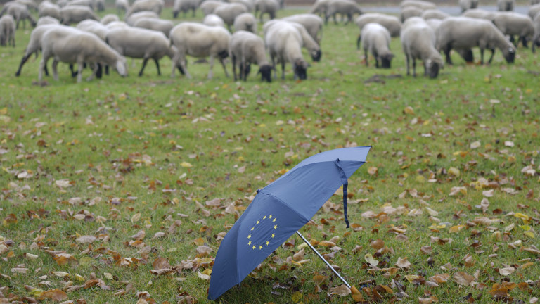 Катар и Европарламентът на неограничените възможности