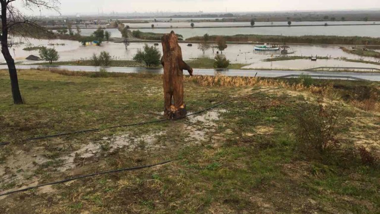 Изображение 319768