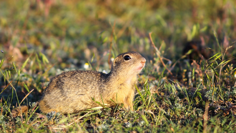 Изображение 360069