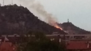 Пожар избухна на Младежкия хълм в Пловдив съобщава БНТ Огънят