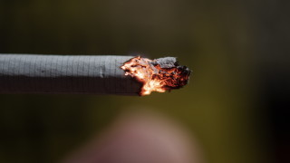 Днес в Австрия влиза в сила закон за забрана на