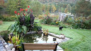 Градините не остаряват елегантно