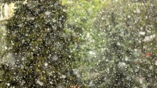 От Столична община съобщават че са мобилизирали екипи за почистване