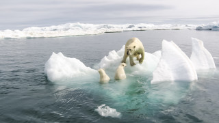 Арктика е преживяла втората си най топла година от 1900 г
