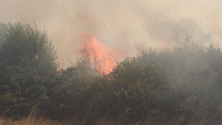 Потушен е пожарът между селата Ъглен и Бежаново
