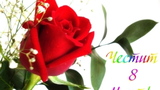 Днес е 8 март Международен ден на жената един особено