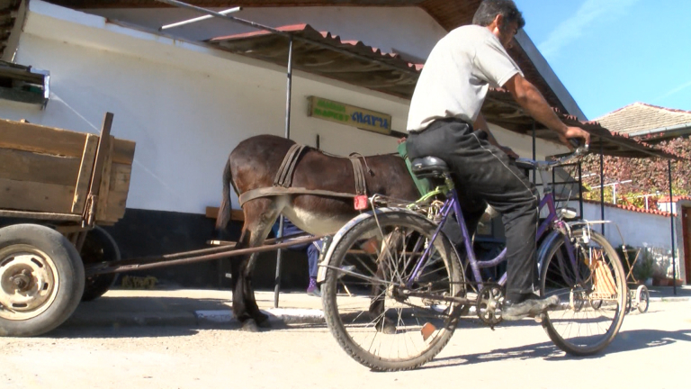 Селски кмет отказва да работи - нямал секретарка