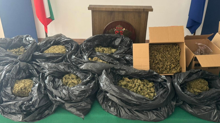 Изображение 723269