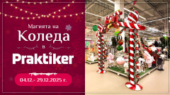 Практикер посреща Коледа с топ намаления