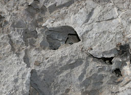 Определиха концесионер на находище „Суходола"