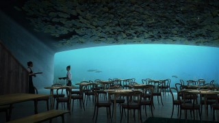 Всички сме виждали прекрасни снимки от подводните ресторанти в Дубай