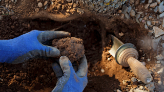 Спряна е дейността на обект за трюфели в с Ивански област