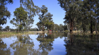 Австралия съобщи че за втора поредна година се е развило