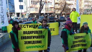 Активисти на „Грийнпийс“ протестираха в Пловдив за пчелите