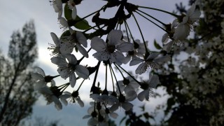 Днес сутринта ще бъде предимно слънчево но още преди обяд