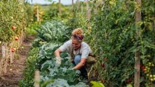 Градинарството може и да е трудоемко занимание което изисква време