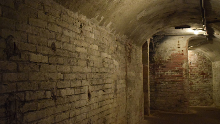 Изображение 566469