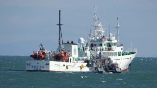 Лидерът на КНДР Ким Чен ун се извини за извършеното от