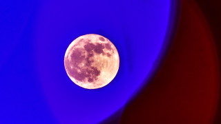Луната изглежда е новият дом на човечеството. Миналата седмица НАСА