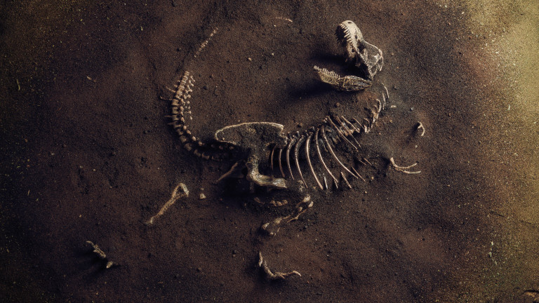 Откриха останки от най-големия динозавър, живял в Европа