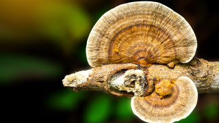 Понякога може и да за миг да си помислим че