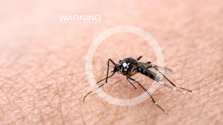 Ваксината срещу малария се оказа 77 ефективна в ранните опити
