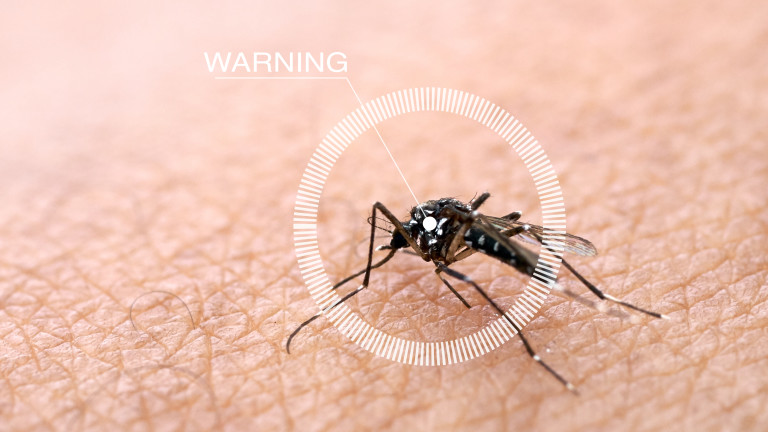 Нова ваксина срещу малария може да е сериозен пробив срещу болестта