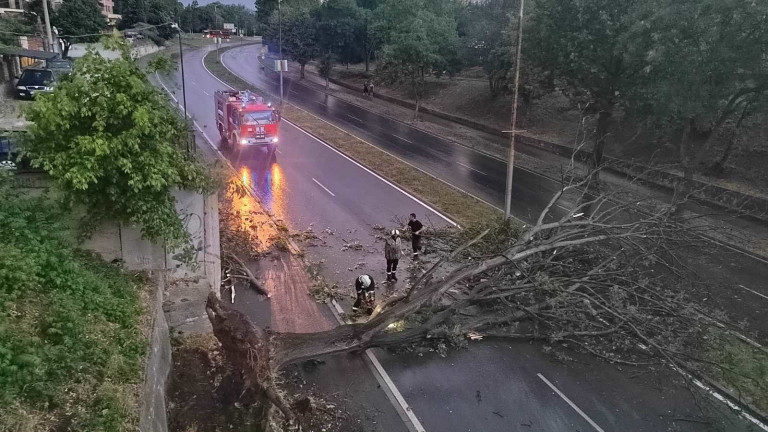 В Община Ямбол бяха подадени близо 30 сигнала за паднали