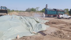 БАБХ гарантира стриктен контрол и дезинфекция при обезвреждането на животни с шарка в Пловдив