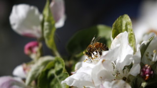 Днес в атмосферата над страната ще се задържи значителната концентрация