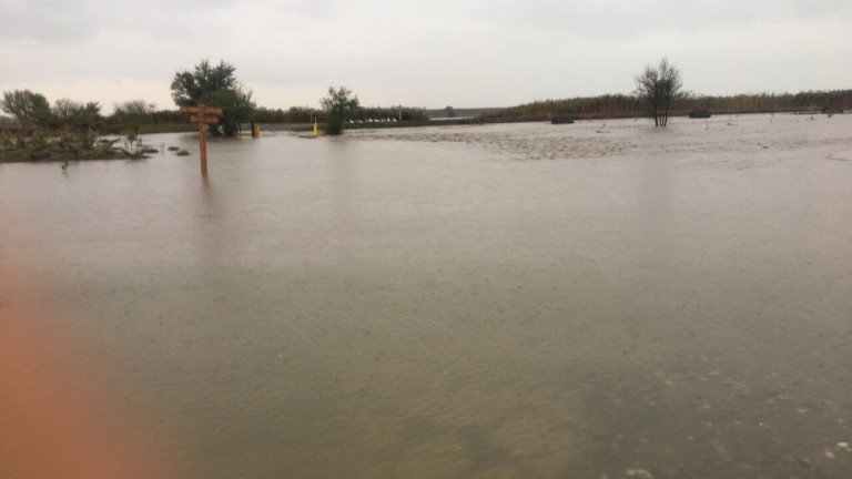 Изображение 319769