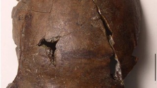 В Папуа Нова Гвинея откриха череп на древен човек който