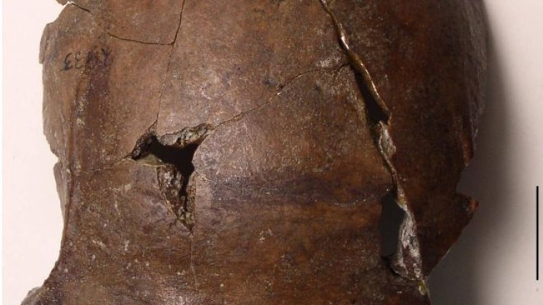 В Папуа Нова Гвинея откриха череп на древен човек, който