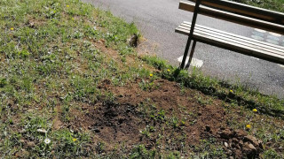 Вандали ограбиха детска градинка в Троян след инициатива за засаждане на дръвчета