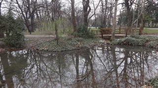 Няма нерегламентирана сеч на дървета в района на Борисовата градина