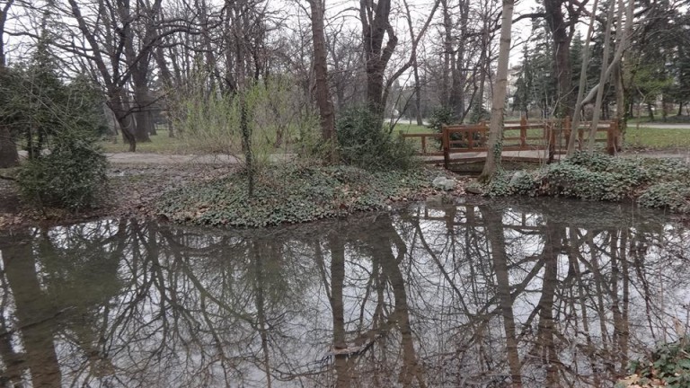БСП разкри нарушения при обществена поръчка за поддържане на парковете в София