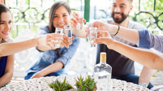 Наръчник за видовете текила