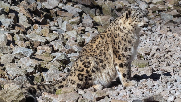 Изображение 501670