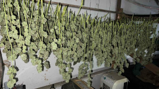 Баща и син от бяха задържани при полицейска акция в