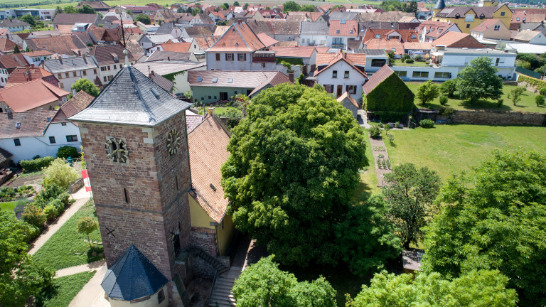 Изображение 342570