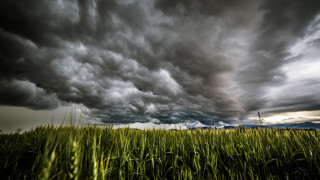 Северна Македония забранява износът на дърва за огрев пелети жито и